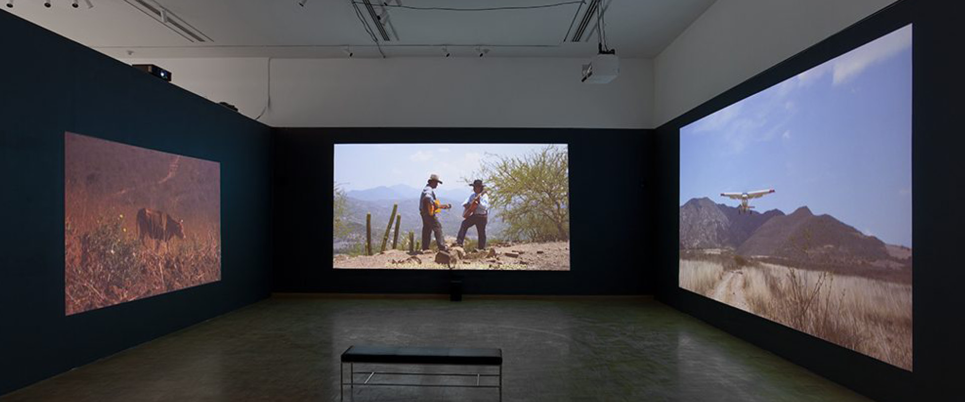 Three large video projections display outdoor scenes, including two people with guitars, a small plane, and a lion, in a dimly lit gallery space with a bench in the center.