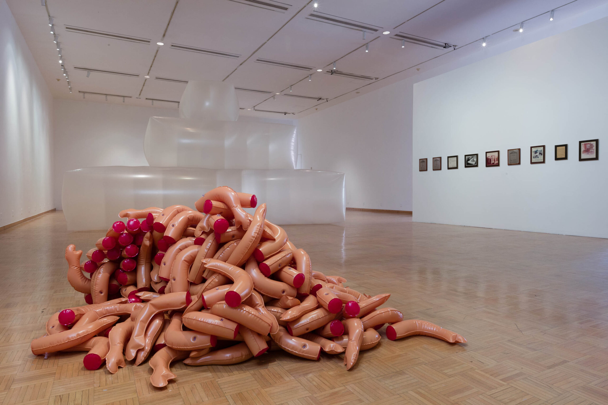 A contemporary art installation featuring a pile of sculptures resembling pink appendages in the foreground, with semi-transparent structures and framed artworks on the wall in the background, within a gallery space.