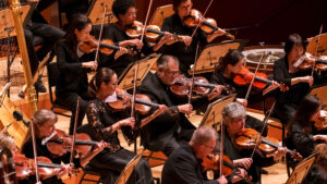 A group of focused violinists playing in unison during an orchestral performance, their bows moving in harmony with the music.