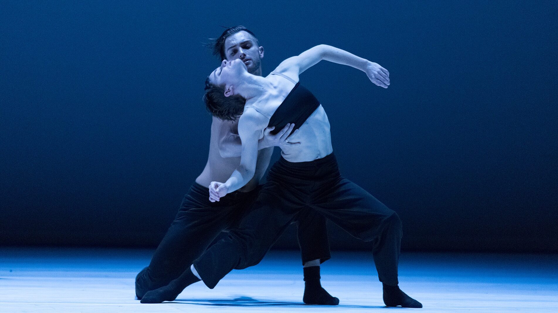 Two contemporary dancers performing an emotionally charged duet on stage, showcasing fluid movements and physical expression under blue stage lighting.