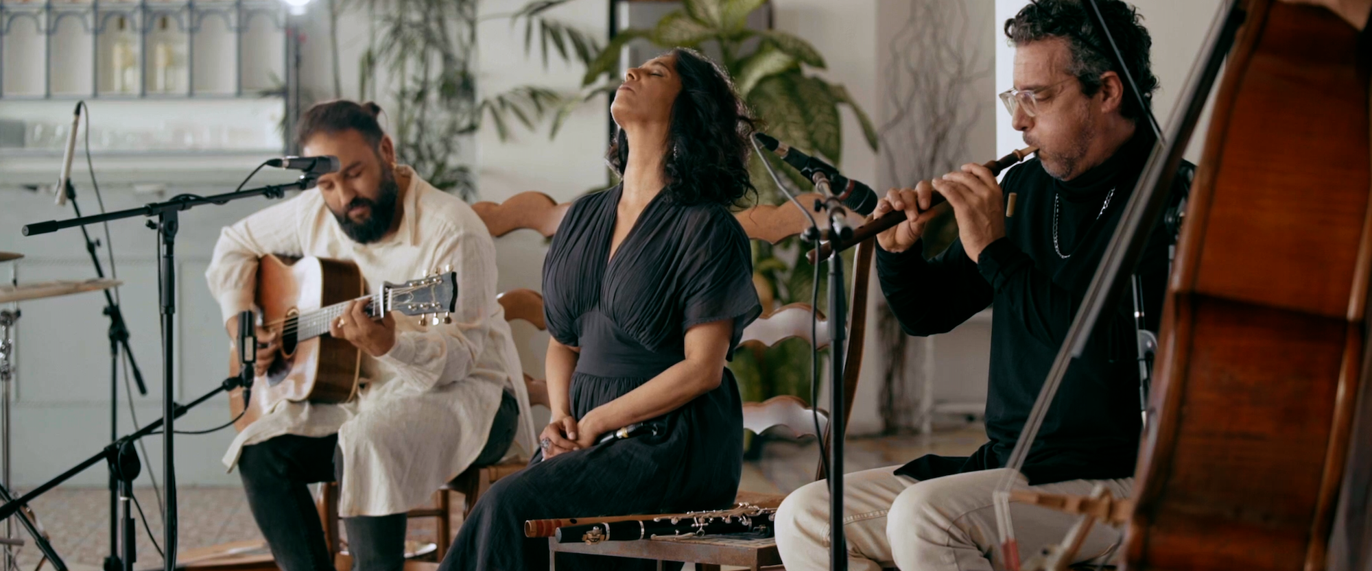 Three musicians perform indoors. The first plays an acoustic guitar, the second, seated in the center, sings passionately, and the third plays a wind instrument. They are surrounded by houseplants and wooden chairs.