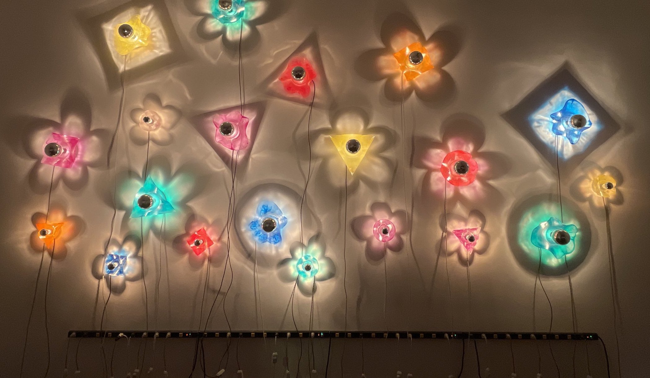 An array of colorful flower-shaped lights casting a vibrant glow against a wall.