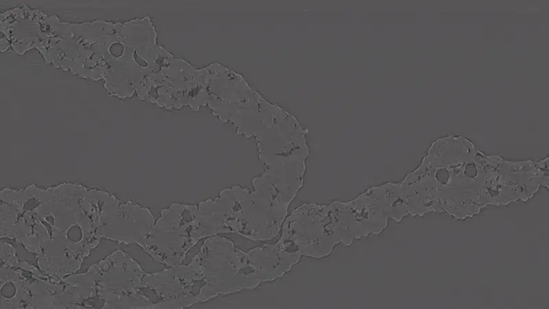 Grayscale image with a wavy, textured band of irregular shapes against a smooth background.