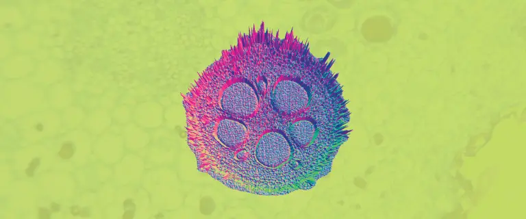 Colorful microscopic view of a plant cell with a spiky exterior against a yellow background.